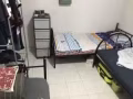 中巴鲁男搭房¥290 已出租 谢谢 