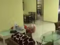 义顺大牌310夫妻间