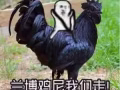 帅气男士为你服务！专业中医手法身体按摩！推油！可以来店里也可以上门！正规按摩