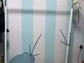 簡易衣架/髒衣籃/曬衣夾