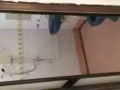 义顺主人房出租，两人一间，招女搭房，包水电网，可煮，报地址