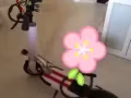 因本人要回國，現有一輛電動滑板車轉手