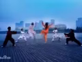 陈式太极拳套路培训传授