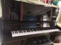 YAMAHA YUS 5