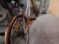 低价出售自行车