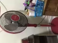 四档 大风风扇湖畔自取 今天