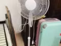 两张床 风扇