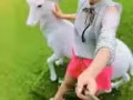 求職：想找華語幼師或者助理 或者接待 或者導遊