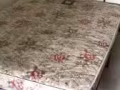 雙人床帶床墊