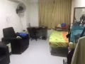 大牌 255