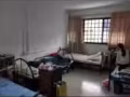 淡兵尼主人房三人间，招一位女生