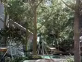 【Daintree Residence】21区 近Beautyworld地铁站
