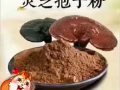 灵芝孢子粉