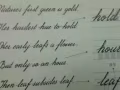 英文成人补习