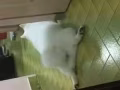 寄存 