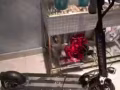 名牌滑板車