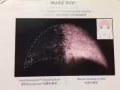 电子洁面仪