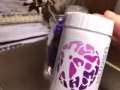 美白淡斑 葡萄籽公主? 最强最有效的抗氧化剂