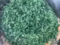 阿婆純手工水餃