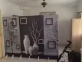 兀兰836简易屏风间出租