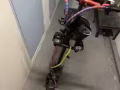 因回要回国便宜买滑板车