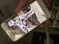 本人出售一部iPhone6plus手机