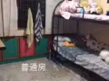 Blk 267 Toh Guan Road, 寻找屋友。没屋主！