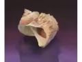 美术设计 指导 家教