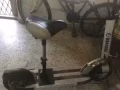 本人回國，低價出售滑板車