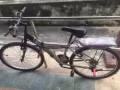 八成新 自行車 50$ 淡濱尼 自取。# 90572381 宋