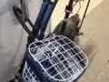 電動車