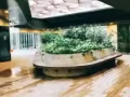 ?波动巴西the poiz residences❤️全新公寓大小普通房拎包入住