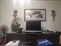主人房普通房出租