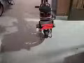 電動車