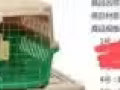 全新寵物航空箱，寵物籠