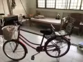 八成新雙人床和摺疊單人床 自行車