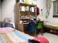 正华大牌124 双层公寓晋通房可住三人适学生/工友