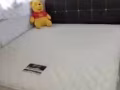 冰箱桌子椅子柜子 床