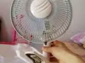 小風扇一個