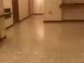 海军部房间出租