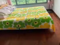 queen size 防蟎蟲自用床墊