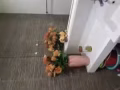 武吉班让公寓单间普通房出租