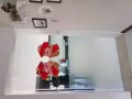 Sengkang 高楼普通房出租