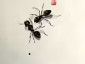 收一部苹果x手机。64GB便宜的联系我