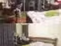 阿玉尼地铁站5分钟，少人安静。专业人士和一个学生。