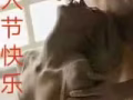 有事情回国