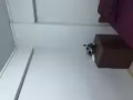 无屋主主人房