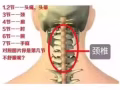 寻中医诊所合作或床位出租或美容床出租