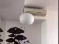 新年裝修家具大打折（miele 冰箱，烤箱爐台，honeywell移動空調）