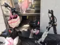 回家便宜处理车子了
